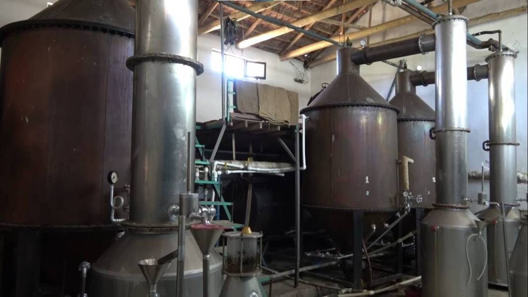 Aile mesleğini sürdürüyorlar: Litresi 10 bin euro! 15 milyon gül yaprağından 1 litre gül yağı çıkarıyorlar 28